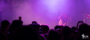 Photo 225207