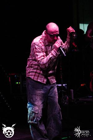Photo 235197