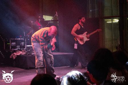 Photo 235219