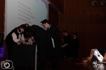 Photo 231693