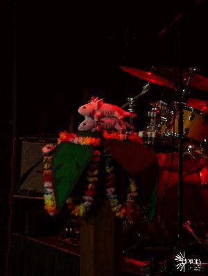 Photo 277169