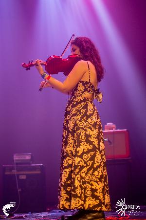 Photo 279480