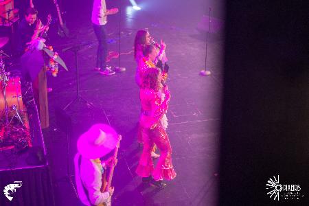 Photo 279517